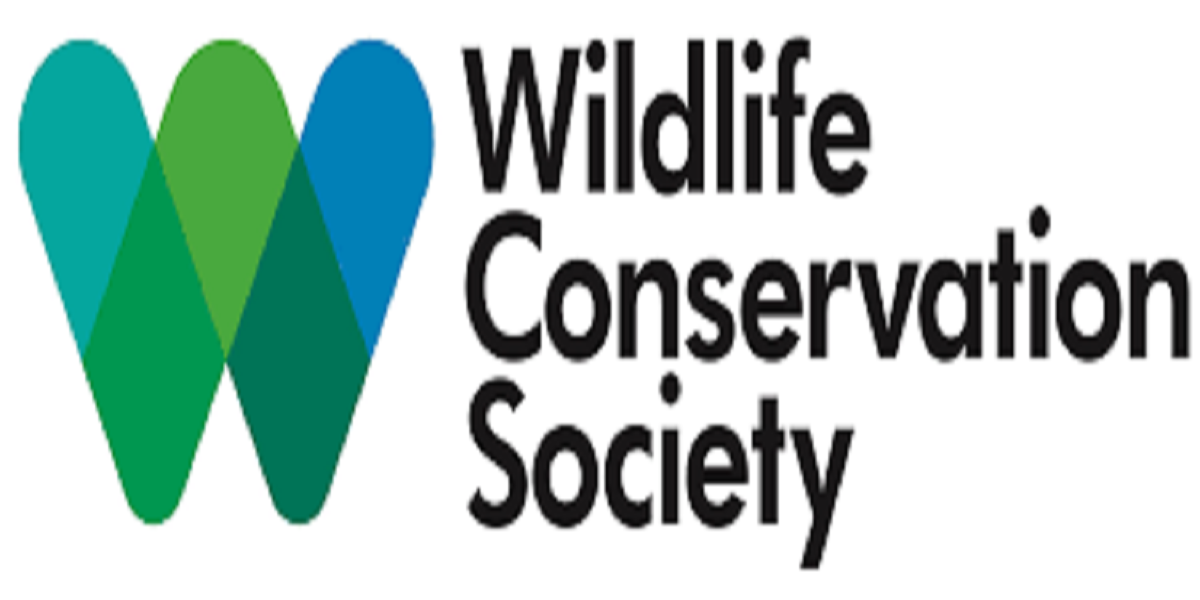 Regional Grants Officer at Wildlife Conservation Society (WCS Rwanda ...